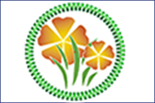 绣花制版线上实时手把手实战教学开课啦！